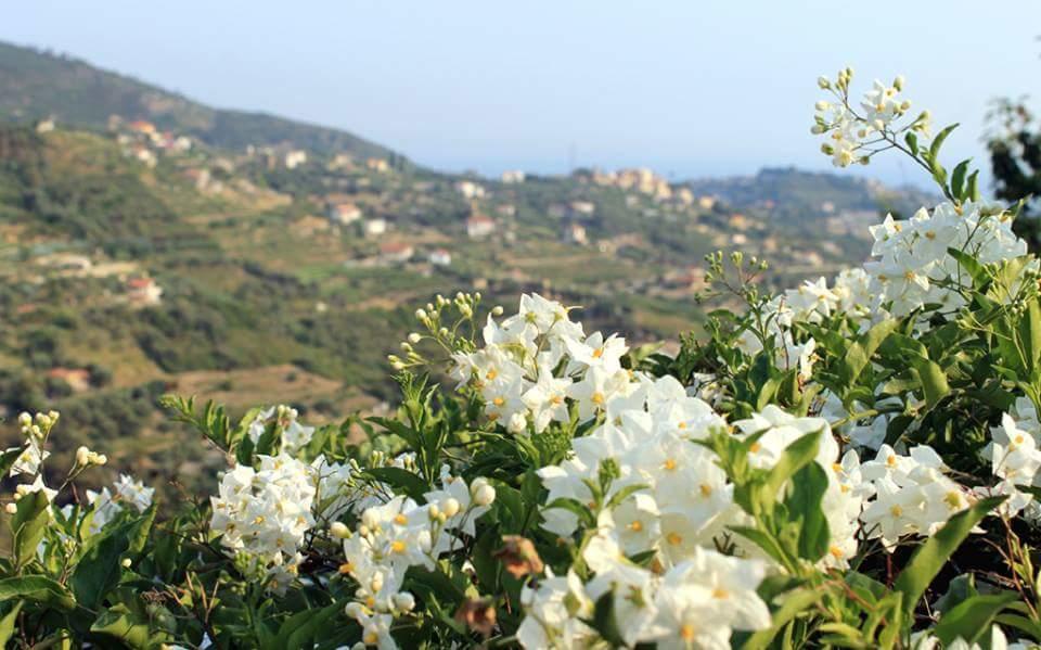 Agriturismo Da Lui Bordighera Dış mekan fotoğraf